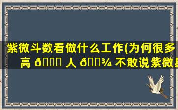 紫微斗数看做什么工作(为何很多高 🐛 人 🌾 不敢说紫微星)